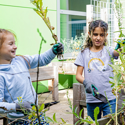 Moestuin op school